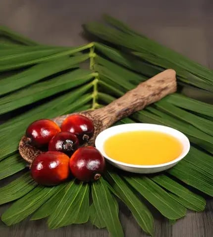 Oleína Alto Oleico de Palma PN 4-10